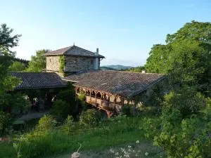 莱斯佛里斯赛维酒店  - Ouroux