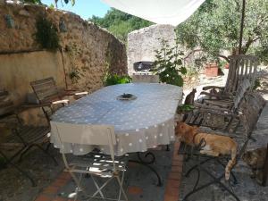 Maisons d'hotes Le Petit Fabre : photos des chambres