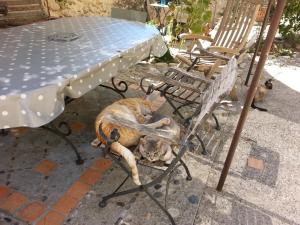 Maisons d'hotes Le Petit Fabre : photos des chambres