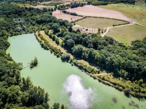 Maisons de vacances Gites de Pellecahus : photos des chambres