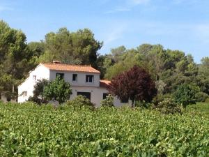 Maisons de vacances Maison Loubiere : photos des chambres