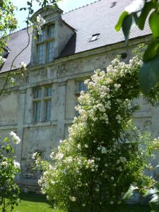 B&B / Chambres d'hotes Manoir du Plessis au Bois : photos des chambres