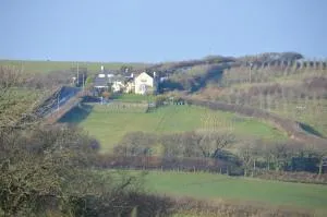 Bumble Bee Cottage - Hartland