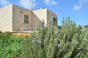 Kalypso Apartments - Karave