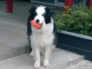 马希那普阿住宿加早餐旅馆 - Kakapotahi