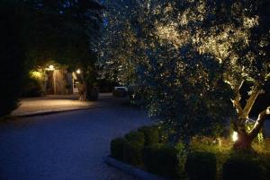 Maisons d'hotes Cote Provence : photos des chambres