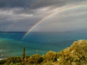 Sirios Apartments Corfu Greece