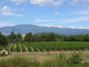 Maisons de vacances Escapades en Ventoux : photos des chambres