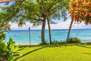 One-Bedroom Apartment room in Kuleana 706