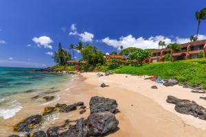 One-Bedroom Apartment room in Kuleana 208