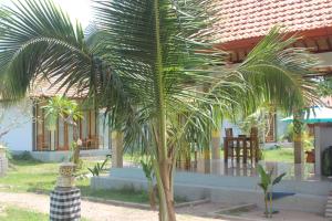 Wani Bali Resort