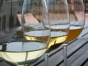 Agriturismo Grillo Iole Winery