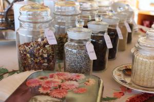 Albero Capovolto img14