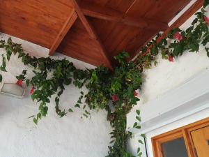 Casa Algarrobo Chile