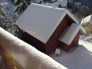 Appartements Les Ecureuils Squirrel Lodge : photos des chambres