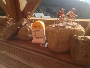 Appartements Les Ecureuils Squirrel Lodge : photos des chambres