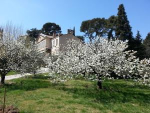 B&B / Chambres d'hotes La Royante : photos des chambres