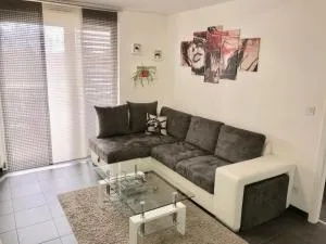 Le T2 Appartement Moderne avec Terrasse et Parking - 利戈尔塞姆