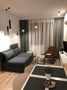 Apartament Comfort Zone - 巴德霍夫斯基库佩莱