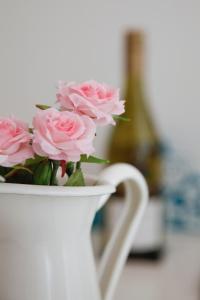 Luxury apartment Spálená