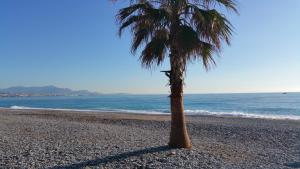 Appartements Residence Cap Azur Appartement 229 : photos des chambres