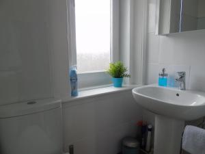 Snug - Krayr Apartment