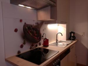 Apartment Steinkellner