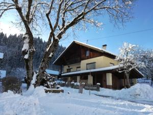 Apartment Steinkellner