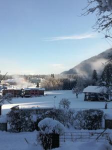 Apartment Steinkellner