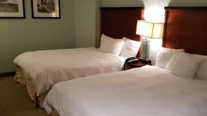 Apartment with Sea View room in Direct Ocean Front 8th Floor