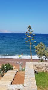Almyra Kythera