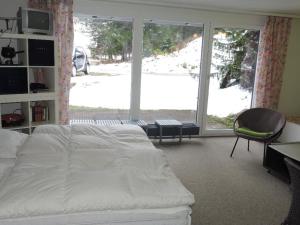 Gentiana (162 Li) Studio