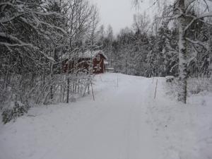 Hyttsnåret