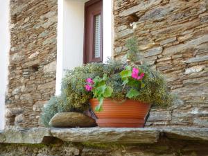 Pensione ChateauTranquil Andro Grecia