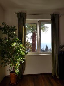 Sunny apartment 150 m from the sea