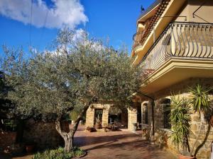 La Ginestra