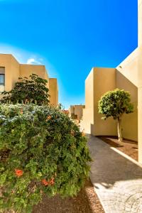 Family Townhouse La Tejita