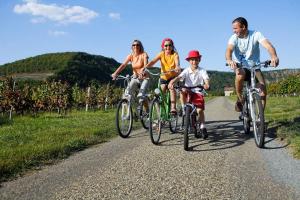 Campings Camping Le Dolium : photos des chambres