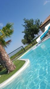 Campings Camping Le Dolium : photos des chambres