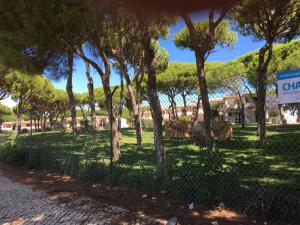 Estúdio tranquilo praia da Falésia