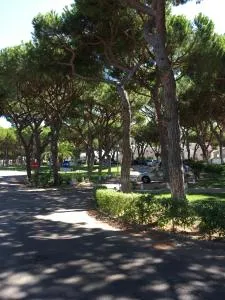 Estúdio tranquilo praia da Falésia - 阿尔布费拉