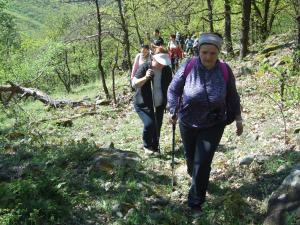 Pension Hollókői Vendégház Abaújszántó Ungarn