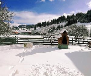 Nexus Kulcsoshaz Bukkloka Gyimes