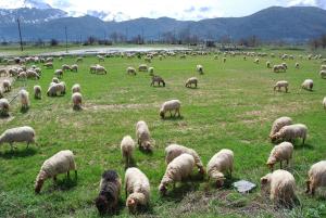 Milatos Village Cretan Agrotourism Hotel Lasithi Greece