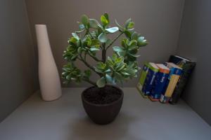 Merchants Street Valletta Apartment