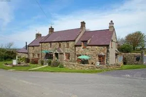 Y Feillionen - Twdweiliog