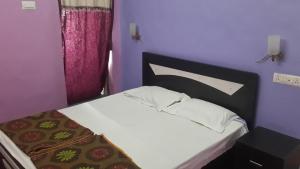 Asia Lodge Near Railway Station