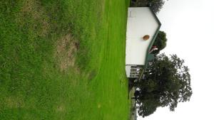 Hoyohoyo Machadostud Lodge