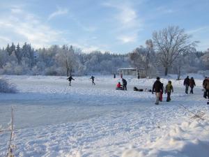 Ferienwohnungen Haus am Karpfenteich