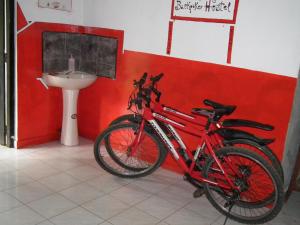 Rural Jungle Backpackers Hostel